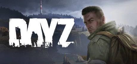 DayZ StandAlone по сети